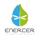 Carlos Arturo Ávila – CEO 